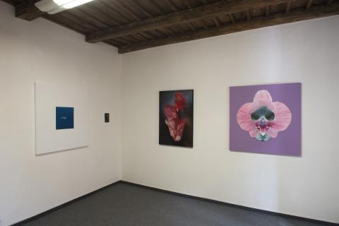instalation in gallery Peron