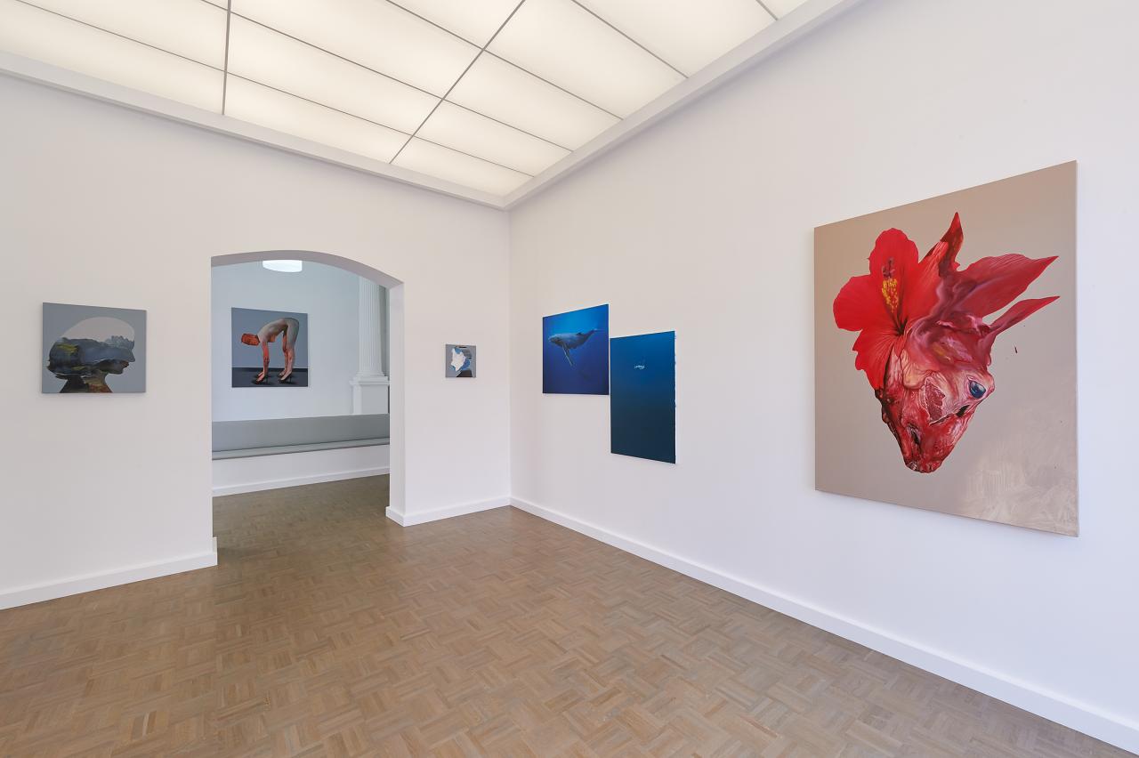 instalation - melancholic dream, alina gallery, chemnitz, 2014