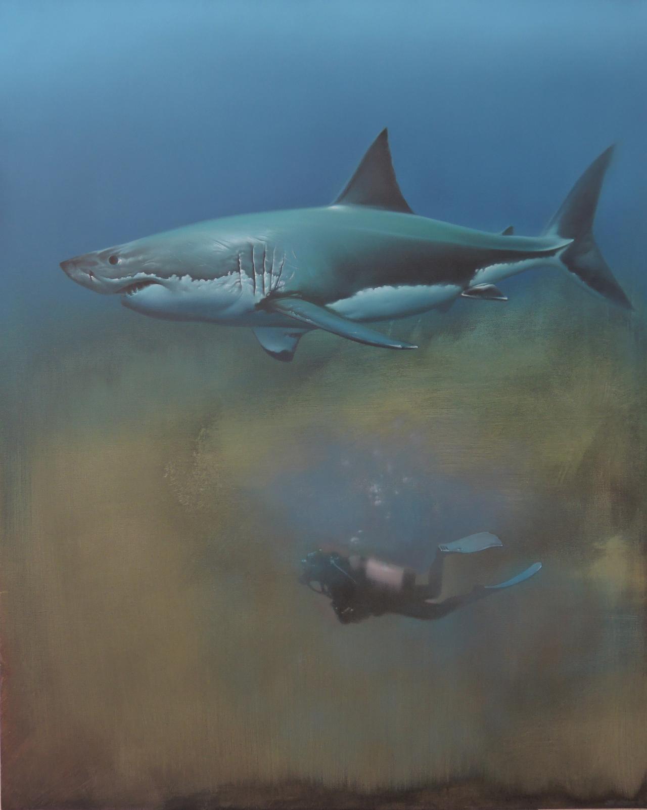 scale of connectivity / shark