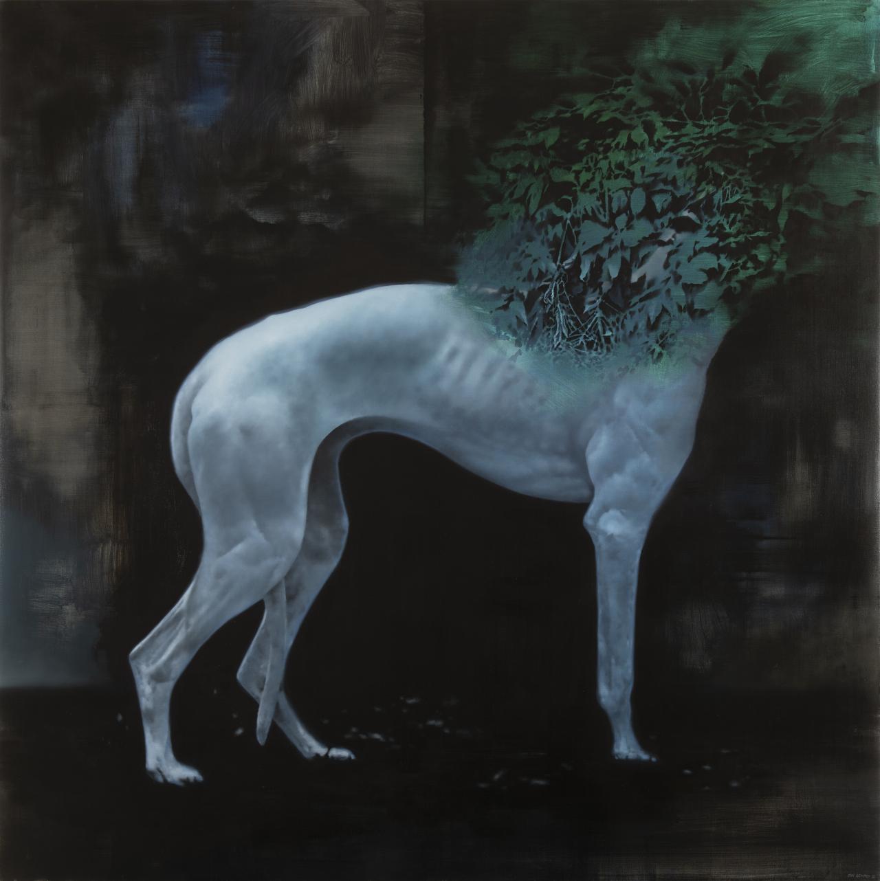 the dog