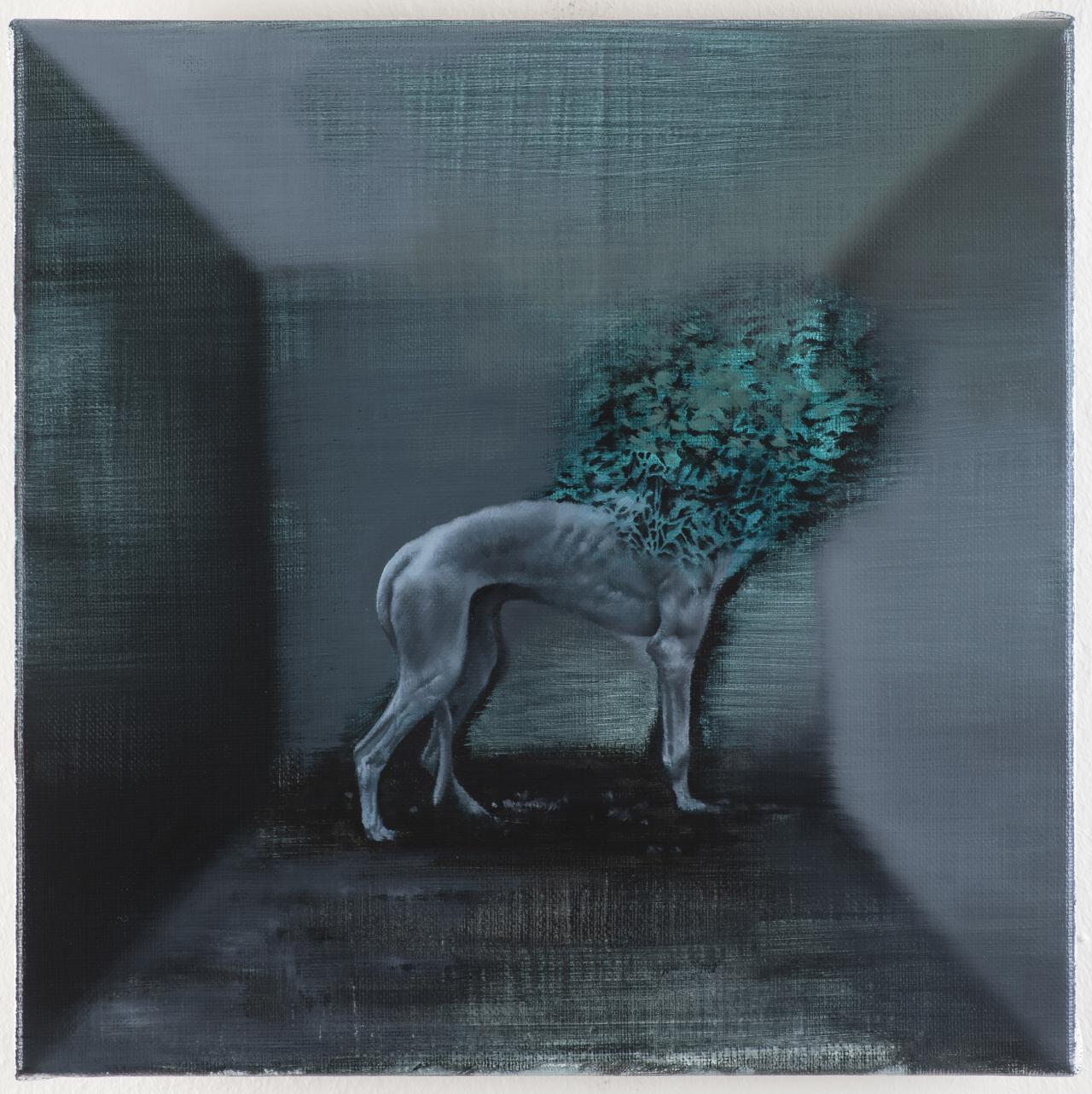 the dog study
