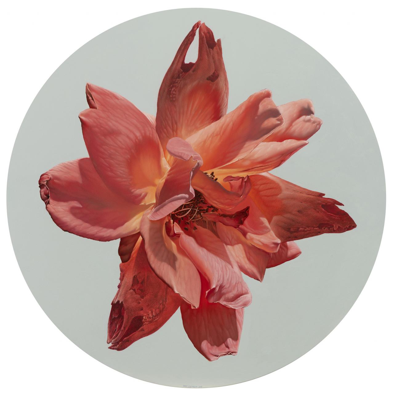 blossom of the time