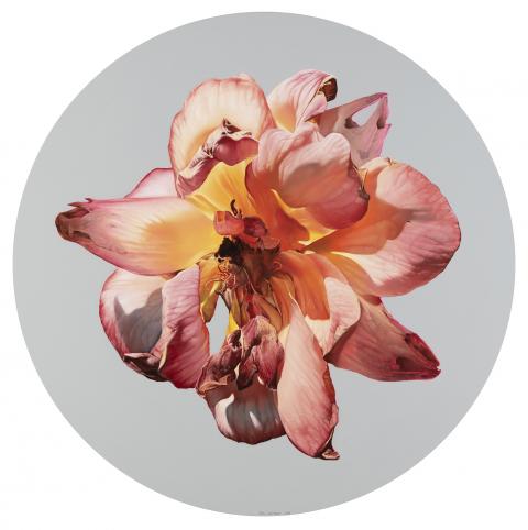blossom of the time 2